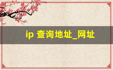 ip 查询地址_网址解析ip地址